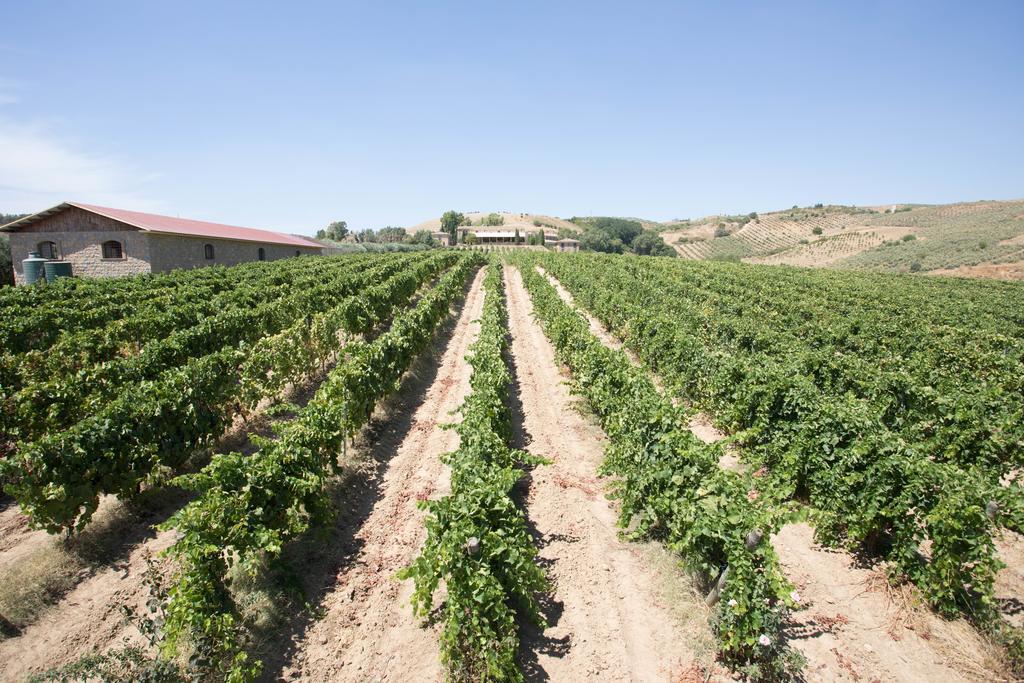 Agriturismo Gigliotto San Cono Εξωτερικό φωτογραφία